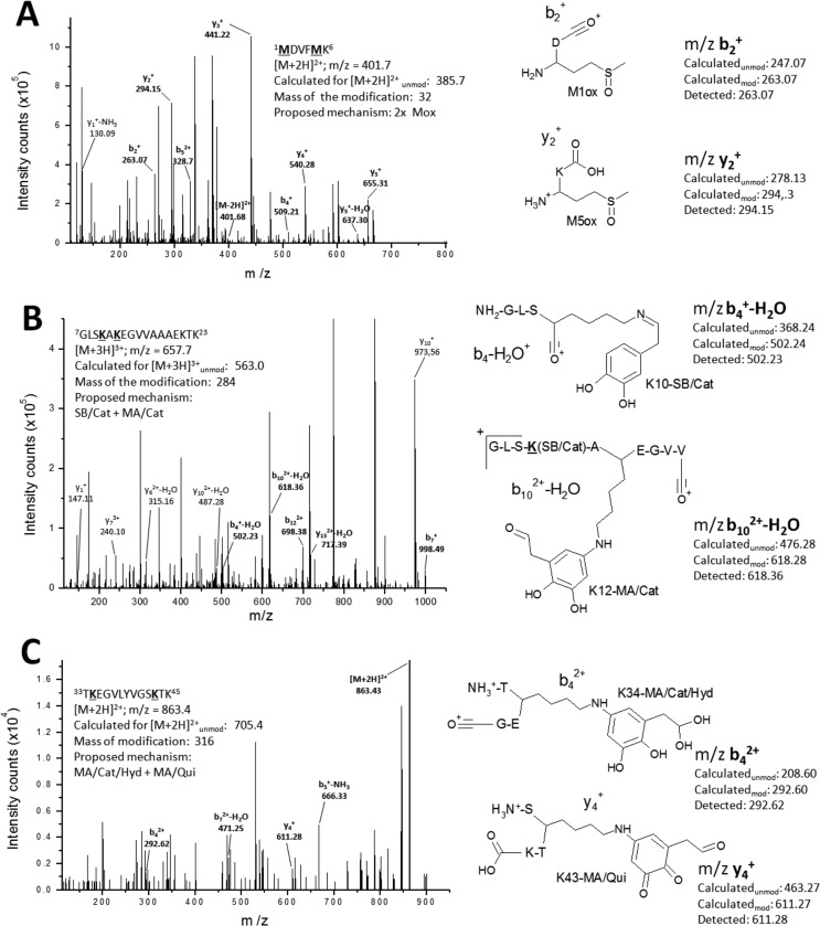 FIGURE 7.