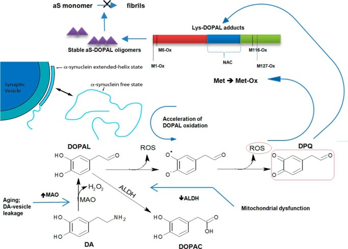 FIGURE 16.