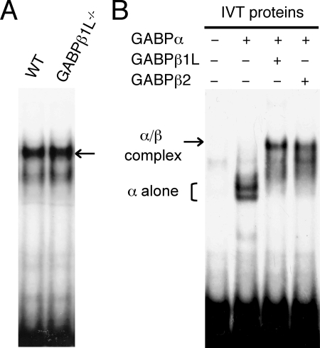 FIG. 7.