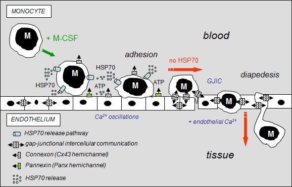 Fig 8