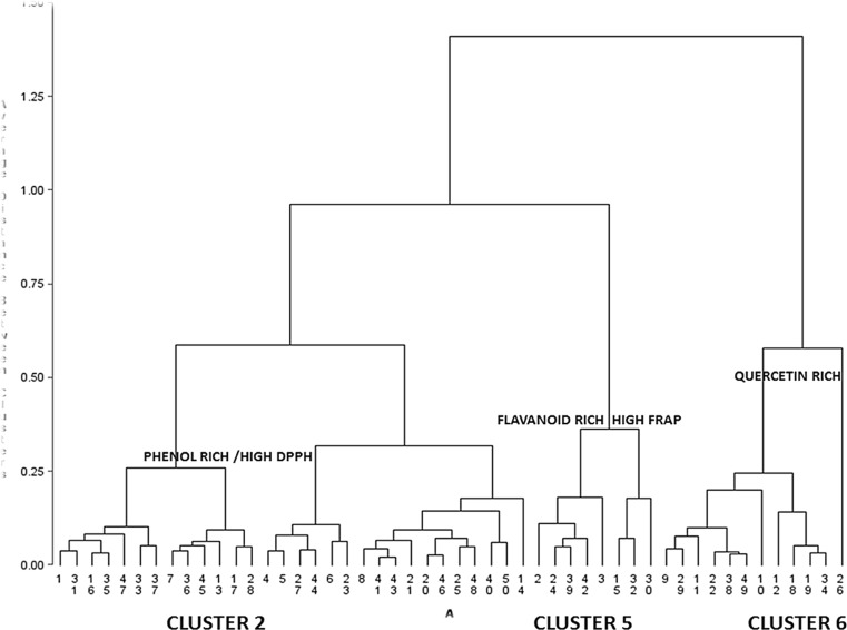 Fig. 6