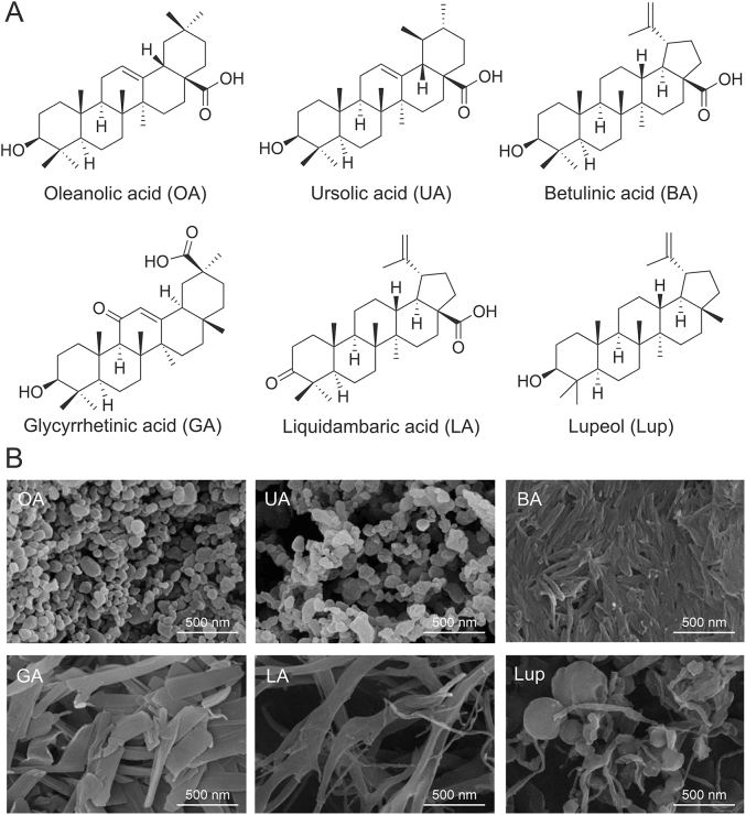 Fig. 3