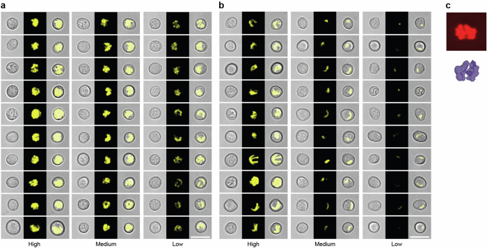 Extended Data Fig. 2