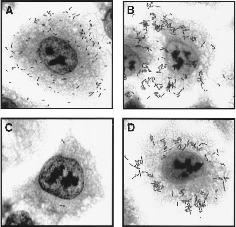 FIG. 6