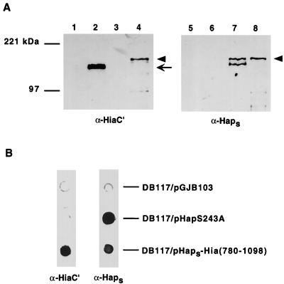 FIG. 5