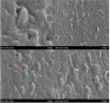 Figure 6