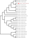 Figure 2