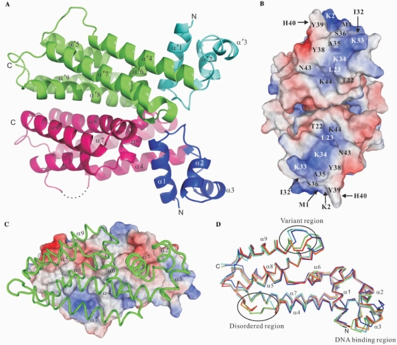 Figure 1.