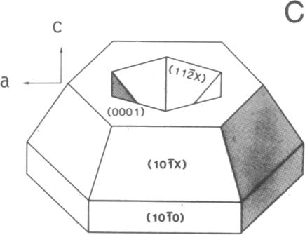 graphic file with name pnas00243-0136-a.jpg