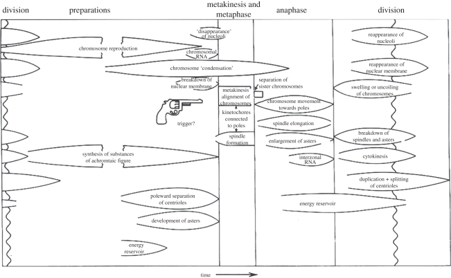 Figure 1.