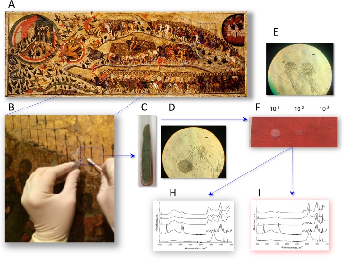 Fig 4