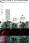 Fig. 5.