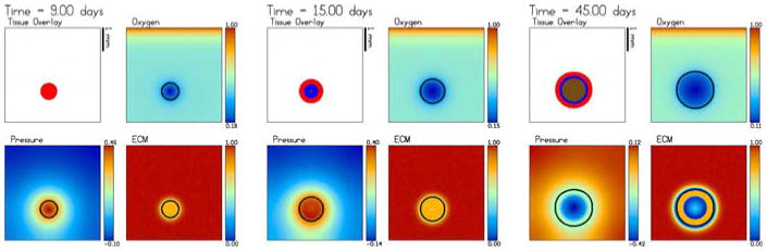 Fig. 10