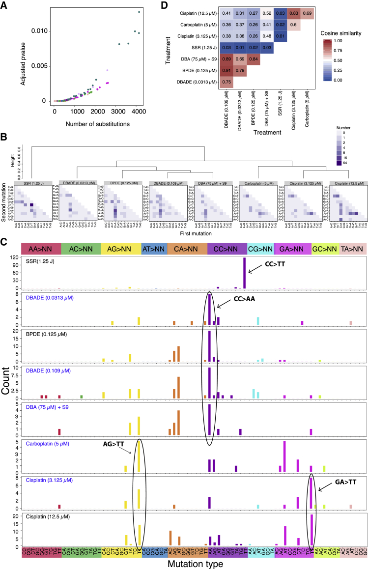 Figure 4