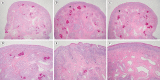 Fig. 6.