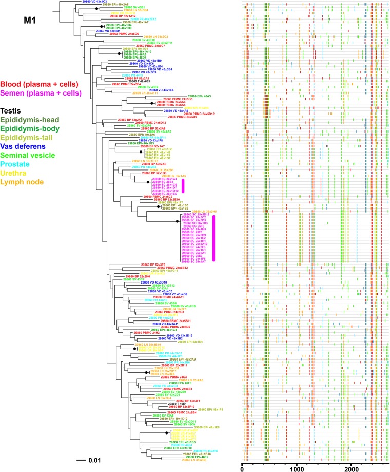 FIG 6