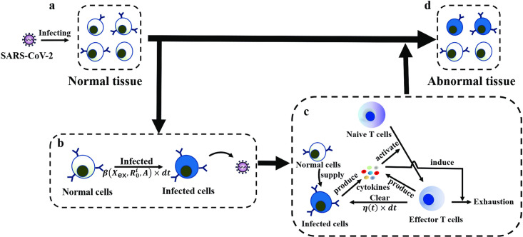 Fig 10