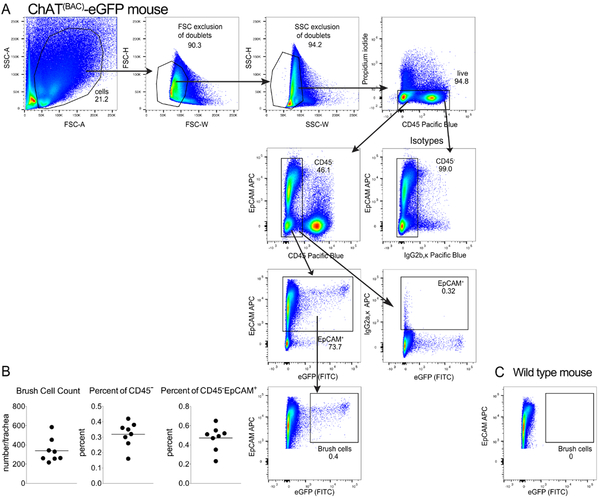 Figure 2: