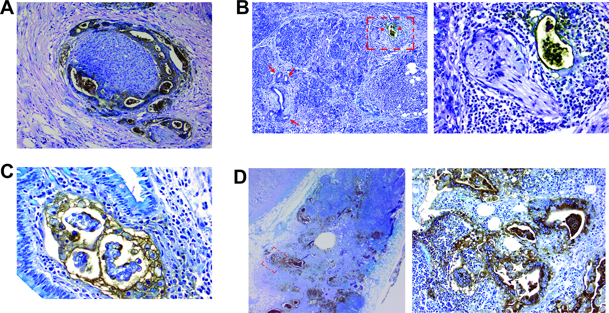 Figure 4: