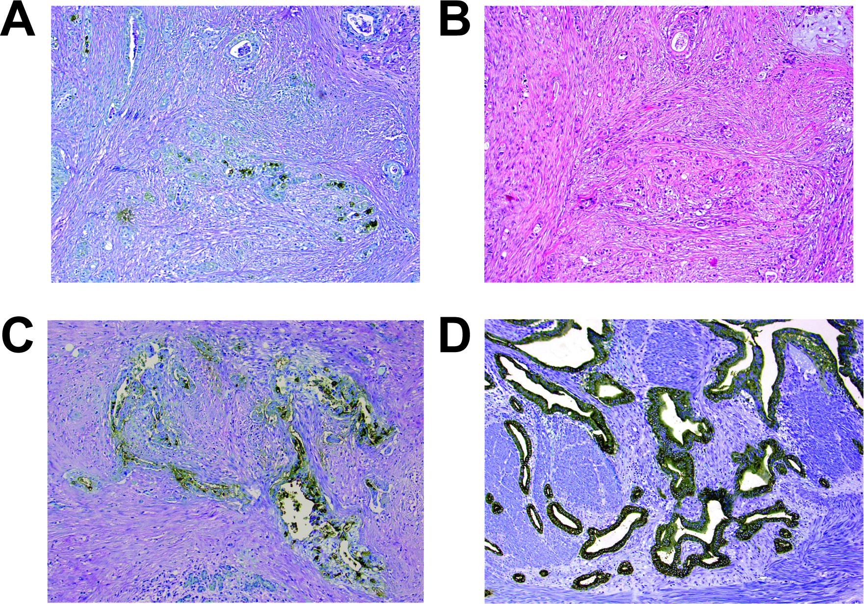 Figure 3: