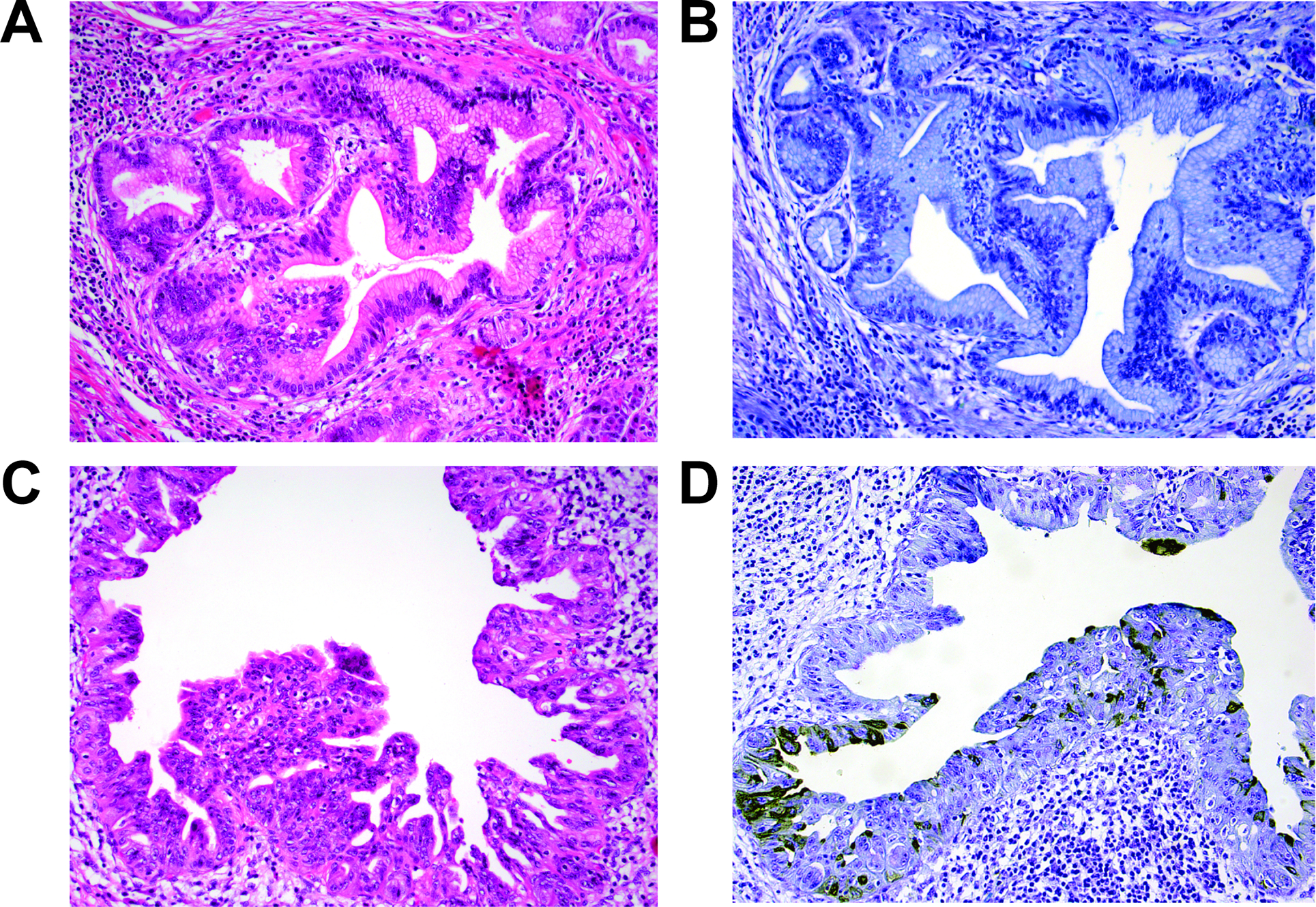 Figure 2: