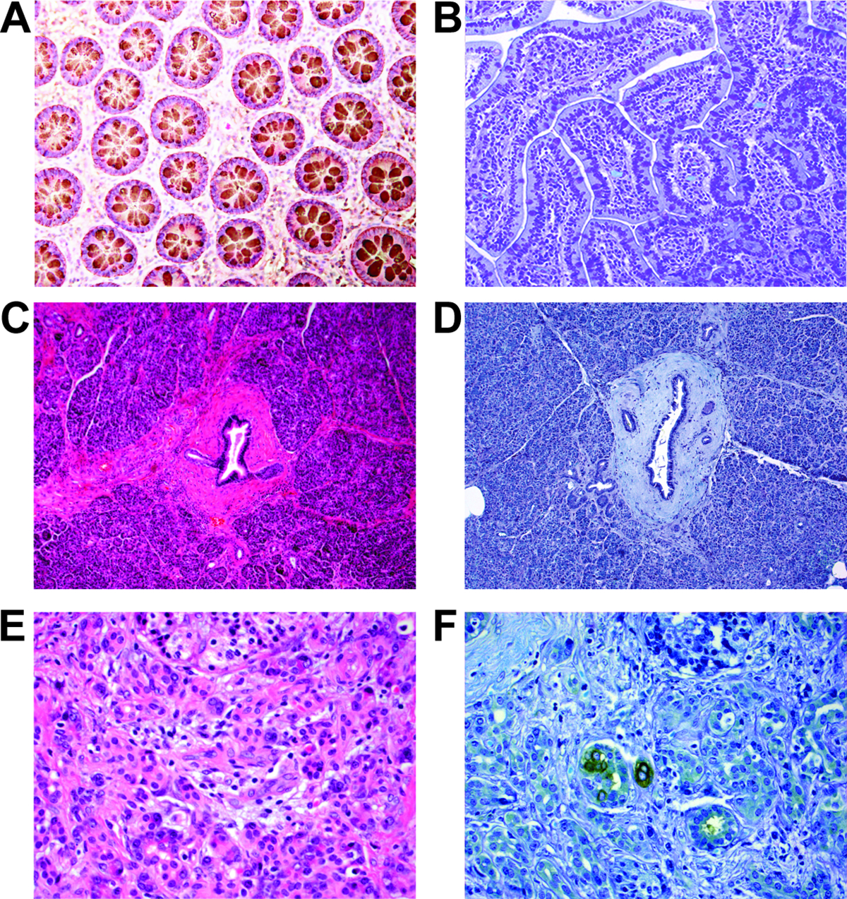 Figure 1: