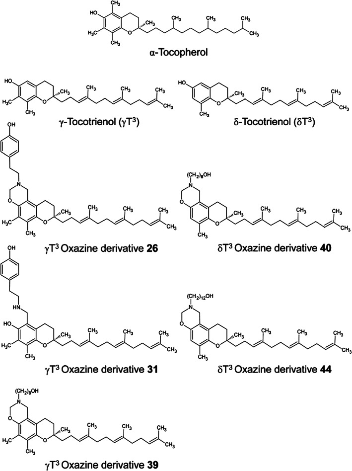 FIGURE 3