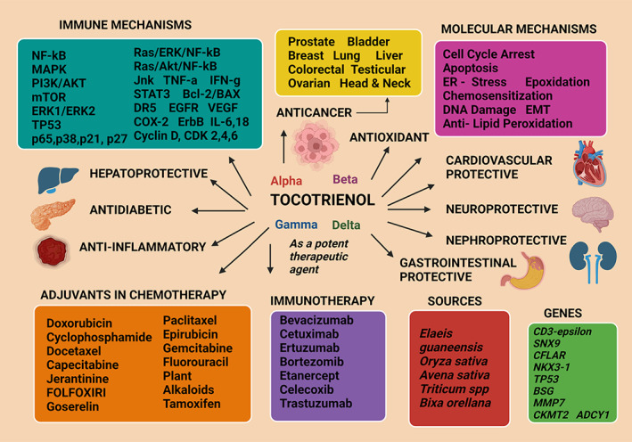 FIGURE 13