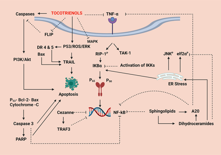 FIGURE 12