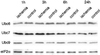 Fig 3.