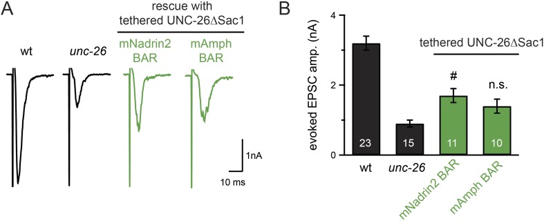 Figure 9—figure supplement 2.