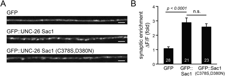 Figure 7—figure supplement 1.