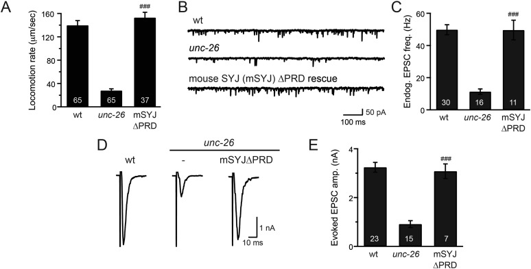 Figure 1—figure supplement 1.