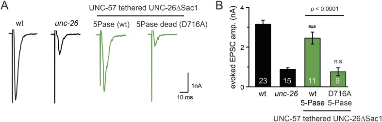 Figure 8—figure supplement 2.