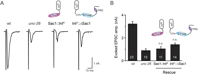 Figure 6—figure supplement 1.