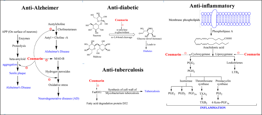 Figure 2b.