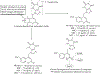 Figure 34.