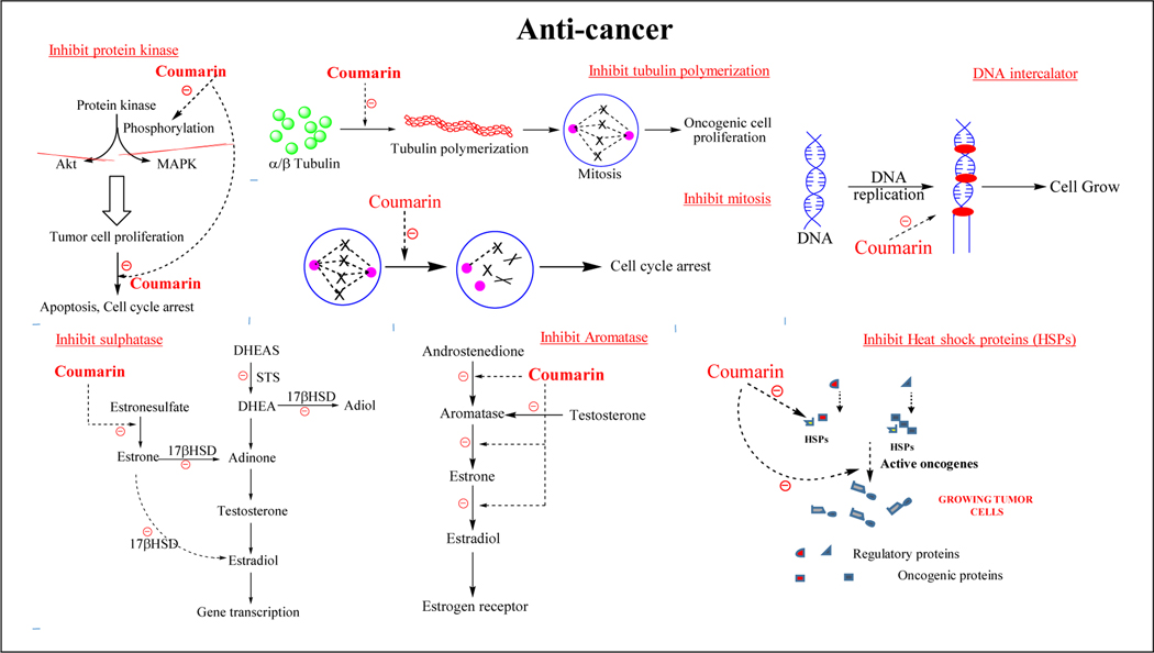 Figure 2a.