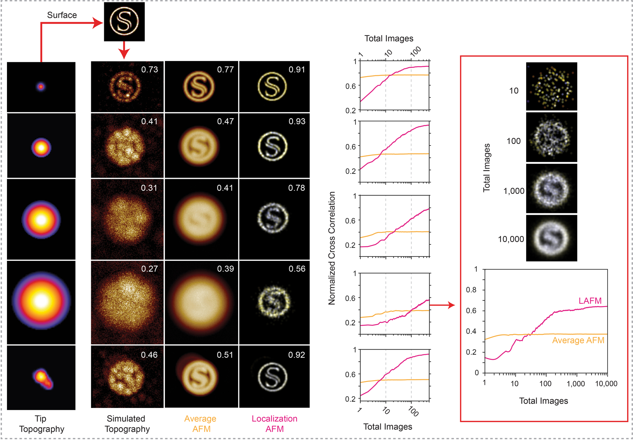 Extended Data Figure 5|