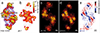 Figure 4)