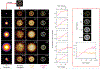 Extended Data Figure 5|