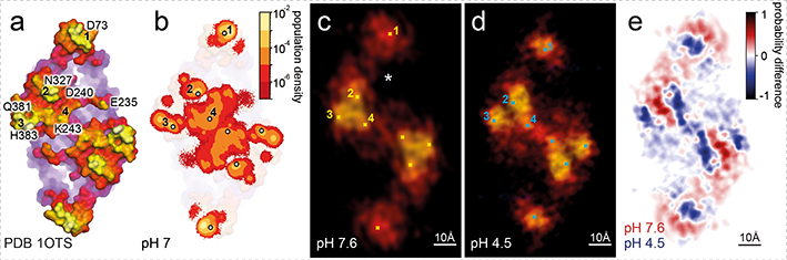 Figure 4)