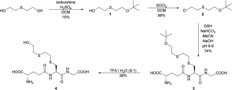 Scheme 2