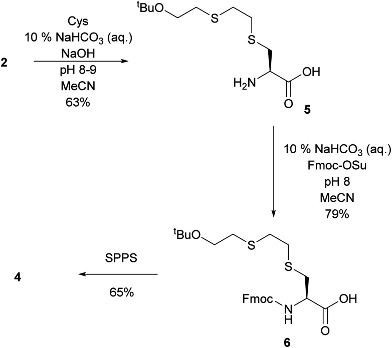 Scheme 3