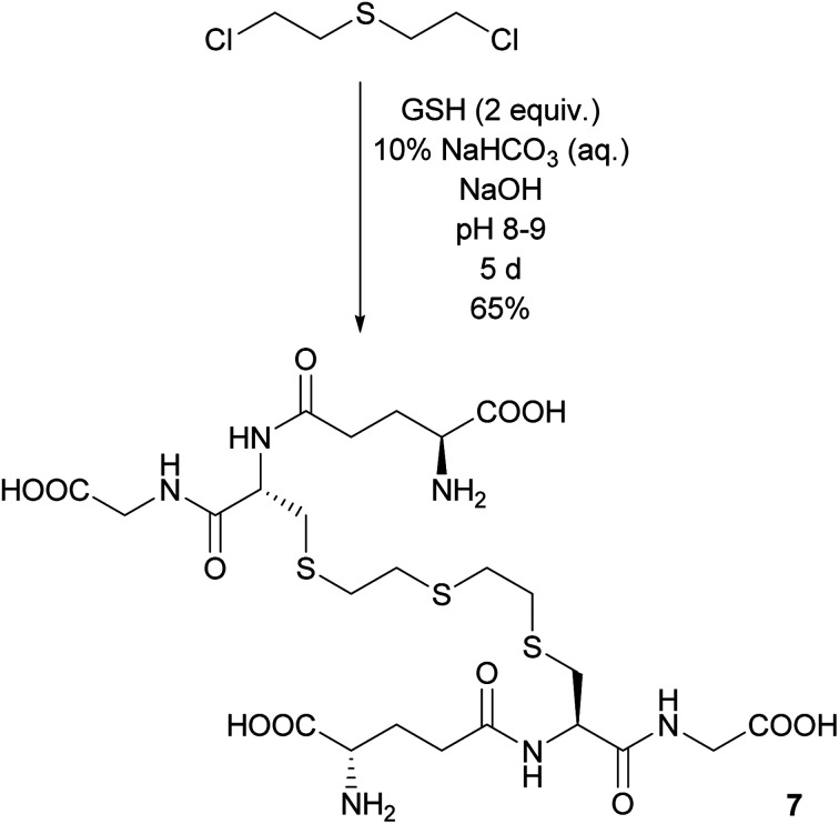 Scheme 4