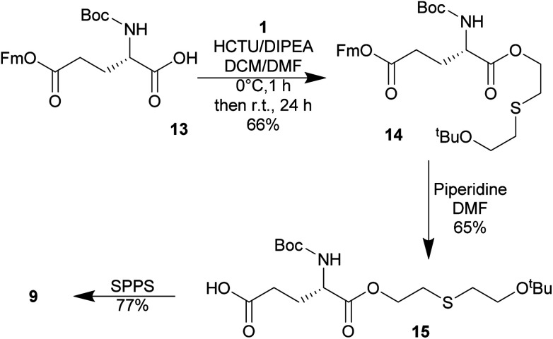 Scheme 6