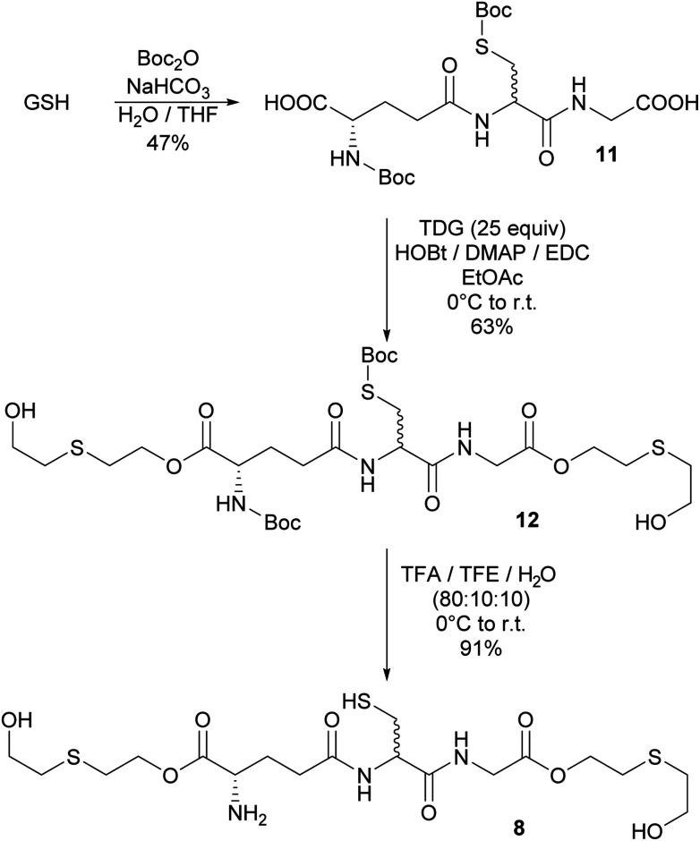 Scheme 5