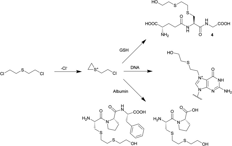 Scheme 1