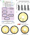 Fig. 3 |