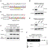 Extended Data Fig. 8 |